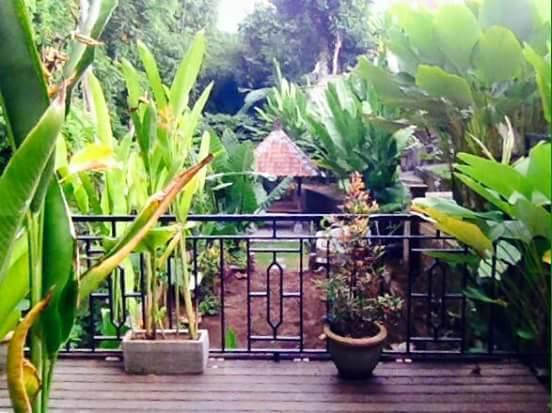 Kerta Family Bed And Breakfast Ubud Exteriör bild